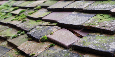 Padstow roof repair costs